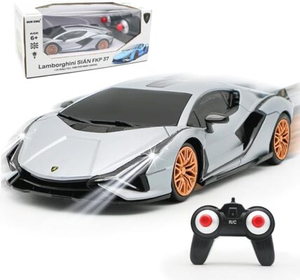 Remote Control Car - 1:24 Scale Lamborghini Sport Racing Toy