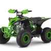 Green 8-14 Year Old 110cc Kids 4-Stroke Petrol Powered Quad Bike