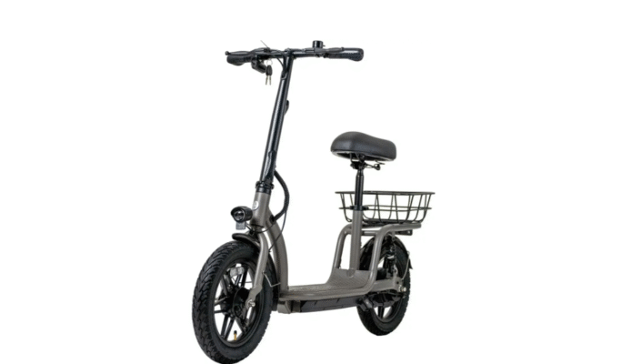 FLEX VOYAGER Electric Scooter